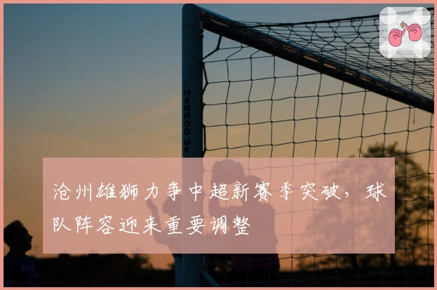 沧州雄狮力争中超新赛季突破，球队阵容迎来重要调整